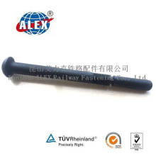 Black Surface Treatment Steel 10.9 Grade Huck Bolt